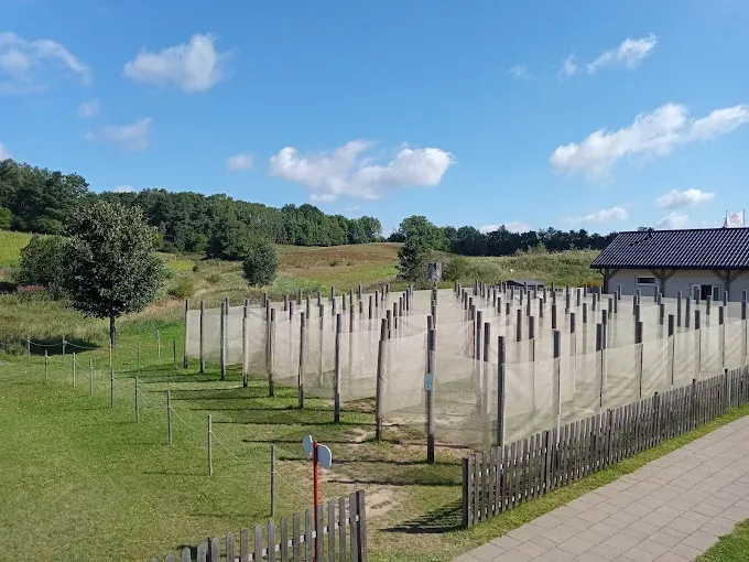 Park tematyczny dla dzieci - Świat Labiryntów